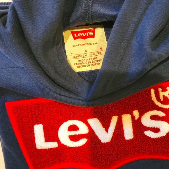 Levi's Logo Hoodie Sweatshirt - Boys - Picture 4 of 6
